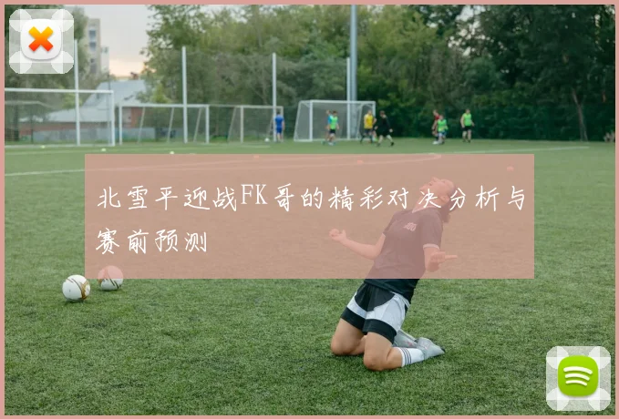 北雪平迎战FK哥的精彩对决分析与赛前预测