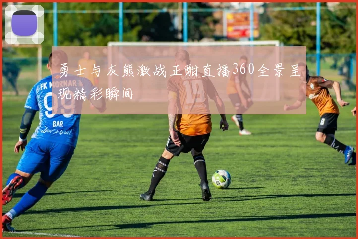 勇士与灰熊激战正酣直播360全景呈现精彩瞬间