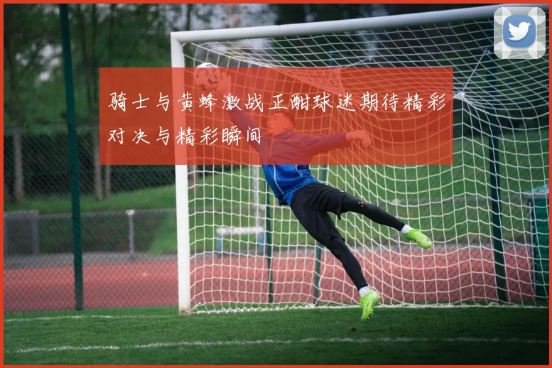 骑士与黄蜂激战正酣球迷期待精彩对决与精彩瞬间