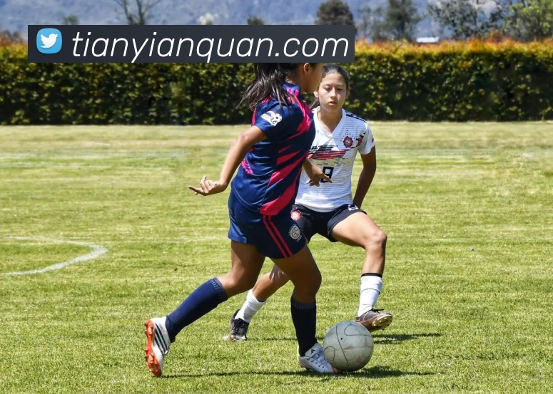 乐动体育APP 封面图